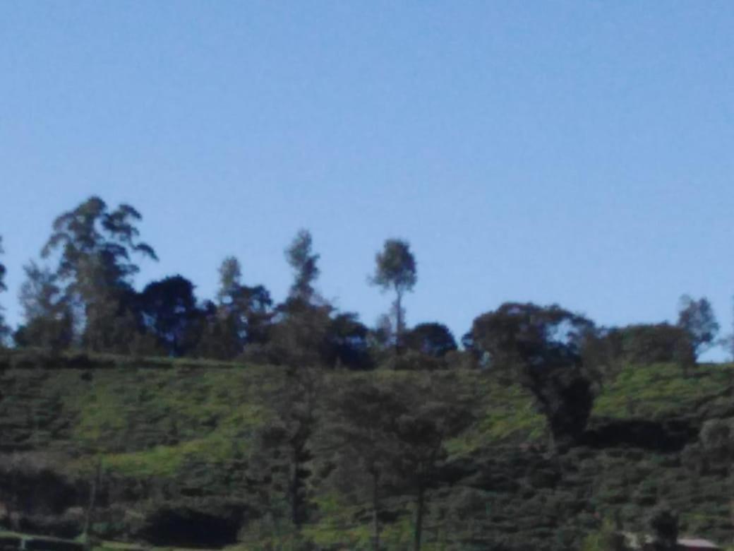 Frosty Heaven Guest House Nuwara Eliya Extérieur photo