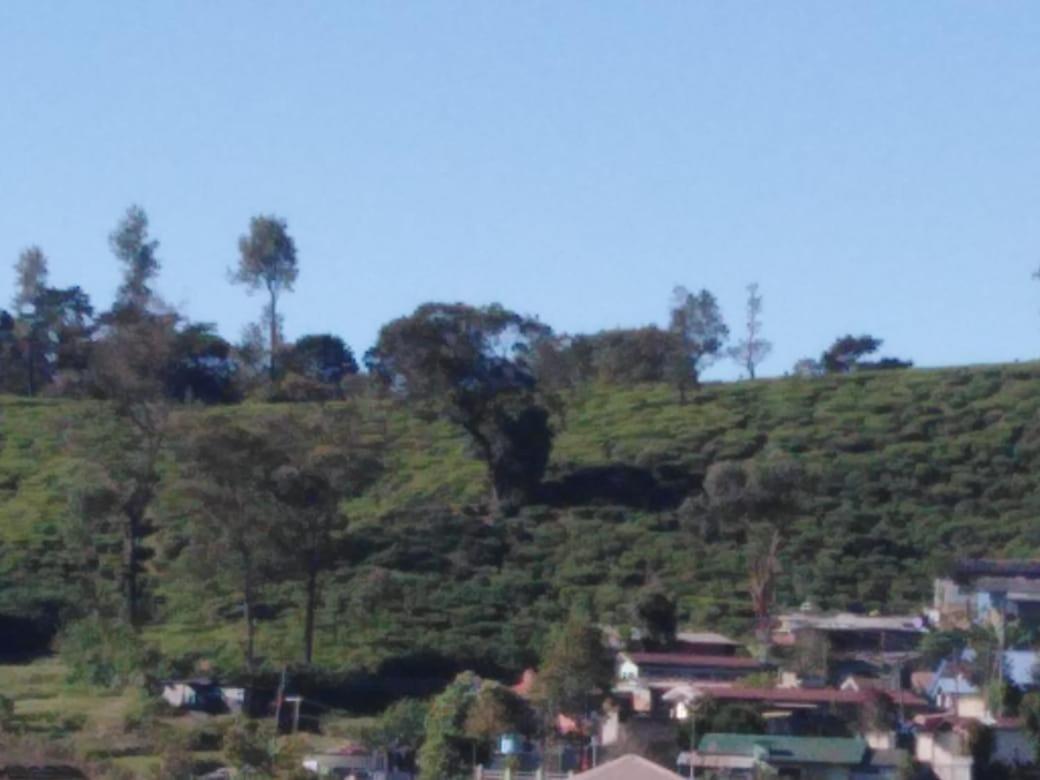 Frosty Heaven Guest House Nuwara Eliya Extérieur photo